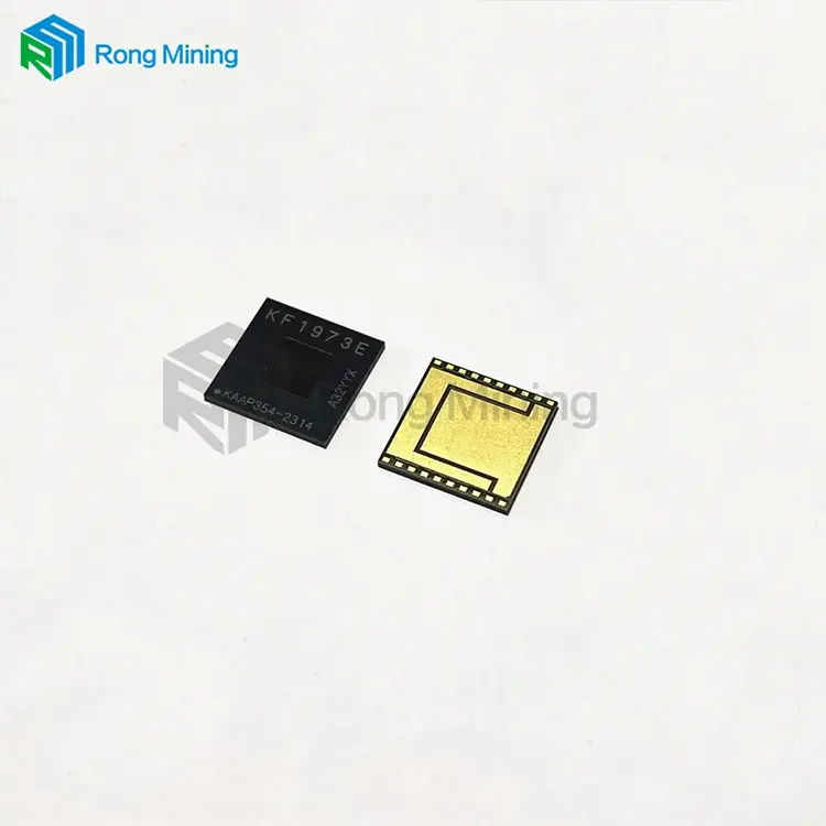WhatsMiner KF1973 KF1973E ASIC per M50 M50S M53 M60S Modello macchina